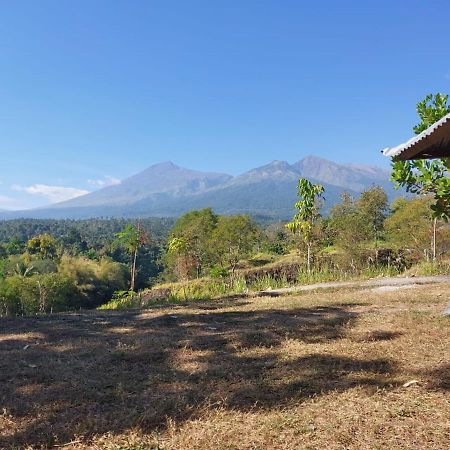 Arung Rinjani Otel Senaru Dış mekan fotoğraf